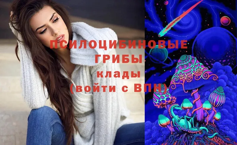 Псилоцибиновые грибы Magic Shrooms  blacksprut как войти  Асбест 